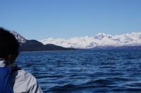 The East Arm of Glacier Bay National Park