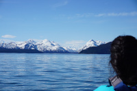 Looking towards Mt Fairweather