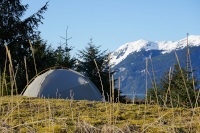 Camping in the moss