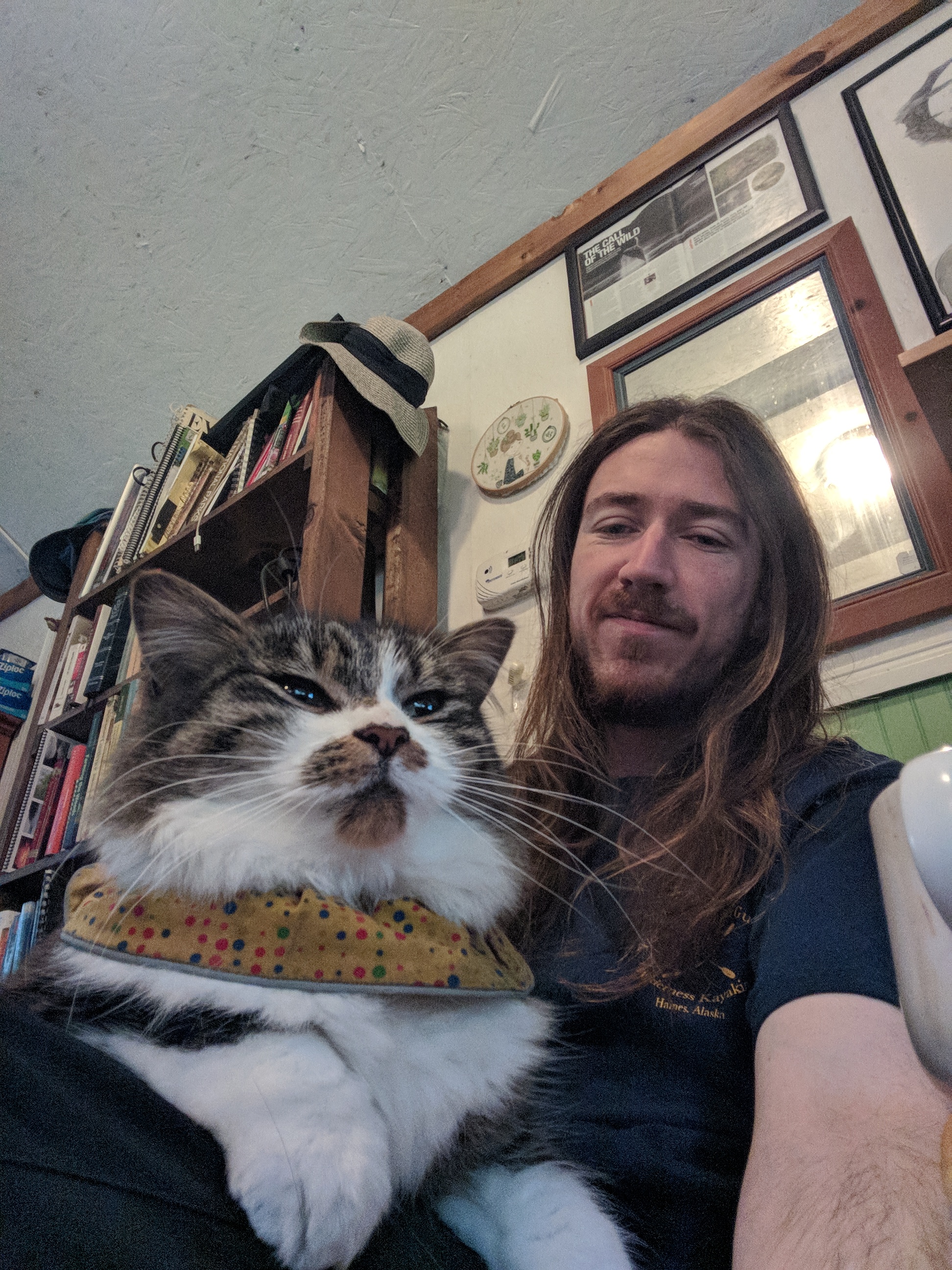 Minerva has a brooding sense about her